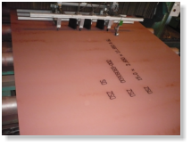 marking a plate with an ink jet printer
